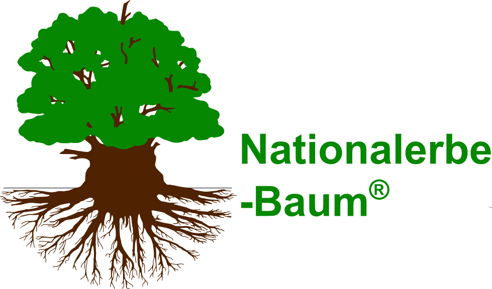 Logo_NEB_neu.png